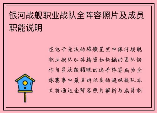 银河战舰职业战队全阵容照片及成员职能说明